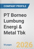 PT Borneo Lumbung Energi & Metal Tbk Fundamental Company Report Including Financial, SWOT, Competitors and Industry Analysis- Product Image