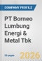PT Borneo Lumbung Energi & Metal Tbk Fundamental Company Report Including Financial, SWOT, Competitors and Industry Analysis - Product Thumbnail Image