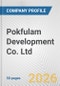 Pokfulam Development Co. Ltd. Fundamental Company Report Including Financial, SWOT, Competitors and Industry Analysis - Product Thumbnail Image
