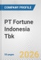 PT Fortune Indonesia Tbk Fundamental Company Report Including Financial, SWOT, Competitors and Industry Analysis - Product Thumbnail Image