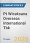 Pt Wicaksana Overseas International Tbk Fundamental Company Report Including Financial, SWOT, Competitors and Industry Analysis - Product Thumbnail Image