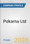Pokarna Ltd. Fundamental Company Report Including Financial, SWOT, Competitors and Industry Analysis - Product Thumbnail Image
