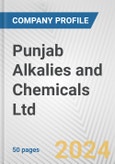 Punjab Alkalies and Chemicals Ltd. Fundamental Company Report Including Financial, SWOT, Competitors and Industry Analysis- Product Image