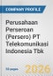 Perusahaan Perseroan (Persero) PT Telekomunikasi Indonesia Tbk. Fundamental Company Report Including Financial, SWOT, Competitors and Industry Analysis - Product Thumbnail Image
