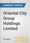 Oriental City Group Holdings Limited Fundamental Company Report Including Financial, SWOT, Competitors and Industry Analysis - Product Thumbnail Image