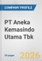 PT Aneka Kemasindo Utama Tbk Fundamental Company Report Including Financial, SWOT, Competitors and Industry Analysis - Product Thumbnail Image