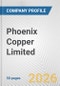 Phoenix Copper Limited Fundamental Company Report Including Financial, SWOT, Competitors and Industry Analysis - Product Thumbnail Image