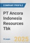 PT Ancora Indonesia Resources Tbk Fundamental Company Report Including Financial, SWOT, Competitors and Industry Analysis - Product Thumbnail Image