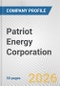 Patriot Energy Corporation Fundamental Company Report Including Financial, SWOT, Competitors and Industry Analysis - Product Thumbnail Image