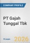 PT Gajah Tunggal Tbk Fundamental Company Report Including Financial, SWOT, Competitors and Industry Analysis - Product Thumbnail Image