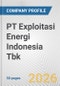 PT Exploitasi Energi Indonesia Tbk Fundamental Company Report Including Financial, SWOT, Competitors and Industry Analysis - Product Thumbnail Image