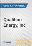 Qualibou Energy, Inc. Fundamental Company Report Including Financial, SWOT, Competitors and Industry Analysis- Product Image