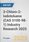 3-Chloro-2-Iodotoluene (CAS 5100-98-1) Industry Research 2025: Global and Regional Market Trends 2019-2024 and Forecast to 2029 - Product Image
