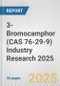3-Bromocamphor (CAS 76-29-9) Industry Research 2025: Global and Regional Market Trends 2019-2024 and Forecast to 2029 - Product Image