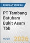 PT Tambang Batubara Bukit Asam Tbk Fundamental Company Report Including Financial, SWOT, Competitors and Industry Analysis - Product Thumbnail Image