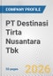 PT Destinasi Tirta Nusantara Tbk Fundamental Company Report Including Financial, SWOT, Competitors and Industry Analysis - Product Thumbnail Image