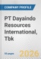 PT Dayaindo Resources International, Tbk. Fundamental Company Report Including Financial, SWOT, Competitors and Industry Analysis - Product Thumbnail Image