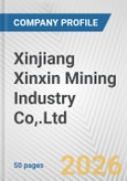 Xinjiang Xinxin Mining Industry Co,.Ltd Fundamental Company Report Including Financial, SWOT, Competitors and Industry Analysis- Product Image