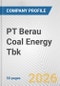 PT Berau Coal Energy Tbk Fundamental Company Report Including Financial, SWOT, Competitors and Industry Analysis - Product Thumbnail Image