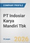 PT Indosiar Karya Mandiri Tbk Fundamental Company Report Including Financial, SWOT, Competitors and Industry Analysis - Product Thumbnail Image