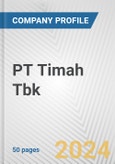 PT Timah Tbk Fundamental Company Report Including Financial, SWOT, Competitors and Industry Analysis- Product Image