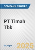 PT Timah Tbk Fundamental Company Report Including Financial, SWOT, Competitors and Industry Analysis- Product Image