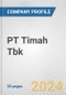 PT Timah Tbk Fundamental Company Report Including Financial, SWOT, Competitors and Industry Analysis - Product Thumbnail Image
