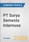 PT Surya Semesta Internusa Fundamental Company Report Including Financial, SWOT, Competitors and Industry Analysis - Product Thumbnail Image