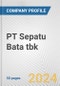 PT Sepatu Bata tbk Fundamental Company Report Including Financial, SWOT, Competitors and Industry Analysis - Product Thumbnail Image