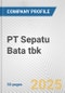 PT Sepatu Bata tbk Fundamental Company Report Including Financial, SWOT, Competitors and Industry Analysis - Product Thumbnail Image