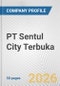 PT Sentul City Terbuka Fundamental Company Report Including Financial, SWOT, Competitors and Industry Analysis - Product Thumbnail Image