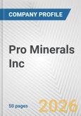 Pro Minerals Inc. Fundamental Company Report Including Financial, SWOT, Competitors and Industry Analysis- Product Image
