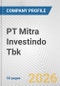PT Mitra Investindo Tbk Fundamental Company Report Including Financial, SWOT, Competitors and Industry Analysis - Product Thumbnail Image