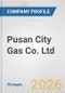 Pusan City Gas Co. Ltd. Fundamental Company Report Including Financial, SWOT, Competitors and Industry Analysis - Product Thumbnail Image