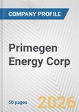 Primegen Energy Corp. Fundamental Company Report Including Financial, SWOT, Competitors and Industry Analysis- Product Image