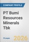 PT Bumi Resources Minerals Tbk Fundamental Company Report Including Financial, SWOT, Competitors and Industry Analysis - Product Thumbnail Image