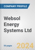 Websol Energy Systems Ltd. Fundamental Company Report Including Financial, SWOT, Competitors and Industry Analysis- Product Image