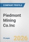 Piedmont Mining Co.Inc Fundamental Company Report Including Financial, SWOT, Competitors and Industry Analysis - Product Thumbnail Image