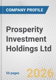 Prosperity Investment Holdings Ltd. Fundamental Company Report Including Financial, SWOT, Competitors and Industry Analysis- Product Image