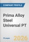 Prima Alloy Steel Universal PT Fundamental Company Report Including Financial, SWOT, Competitors and Industry Analysis - Product Thumbnail Image