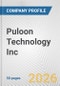 Puloon Technology Inc Fundamental Company Report Including Financial, SWOT, Competitors and Industry Analysis - Product Thumbnail Image