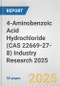 4-Aminobenzoic Acid Hydrochloride (CAS 22669-27-8) Industry Research 2025: Global and Regional Market Trends 2019-2024 and Forecast to 2029 - Product Thumbnail Image