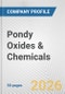 Pondy Oxides & Chemicals Fundamental Company Report Including Financial, SWOT, Competitors and Industry Analysis - Product Thumbnail Image