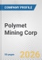 Polymet Mining Corp. Fundamental Company Report Including Financial, SWOT, Competitors and Industry Analysis - Product Thumbnail Image