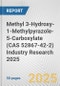 Methyl 3-Hydroxy-1-Methylpyrazole-5-Carboxylate (CAS 52867-42-2) Industry Research 2025: Global and Regional Market Trends 2019-2024 and Forecast to 2029 - Product Image