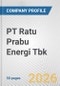 PT Ratu Prabu Energi Tbk Fundamental Company Report Including Financial, SWOT, Competitors and Industry Analysis - Product Thumbnail Image
