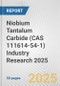 Niobium Tantalum Carbide (CAS 111614-54-1) Industry Research 2025: Global and Regional Market Trends 2019-2024 and Forecast to 2029 - Product Image
