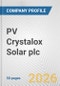 PV Crystalox Solar plc Fundamental Company Report Including Financial, SWOT, Competitors and Industry Analysis - Product Thumbnail Image