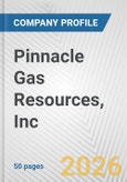 Pinnacle Gas Resources, Inc. Fundamental Company Report Including Financial, SWOT, Competitors and Industry Analysis- Product Image