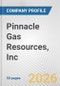 Pinnacle Gas Resources, Inc. Fundamental Company Report Including Financial, SWOT, Competitors and Industry Analysis - Product Thumbnail Image